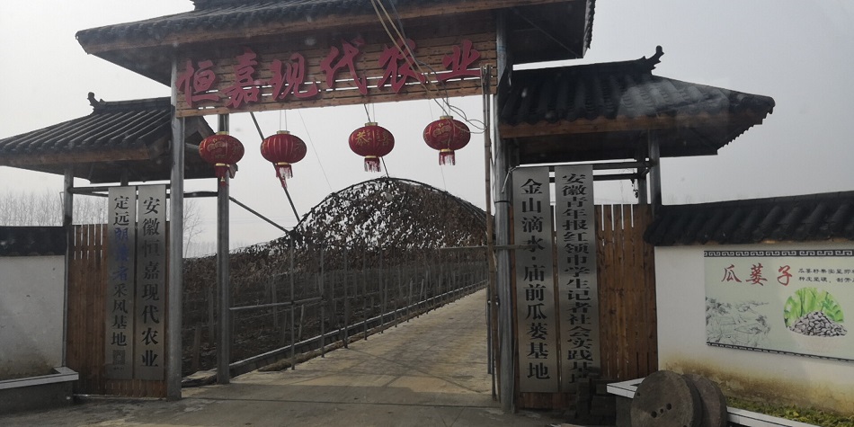 安徽大型炒货机