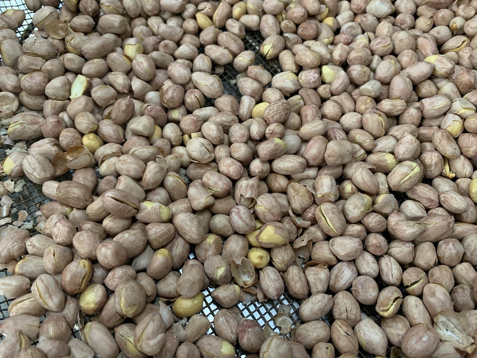 许昌智工炒货机