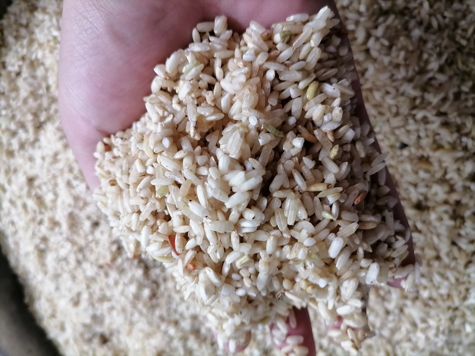 许昌智工电磁炒货机