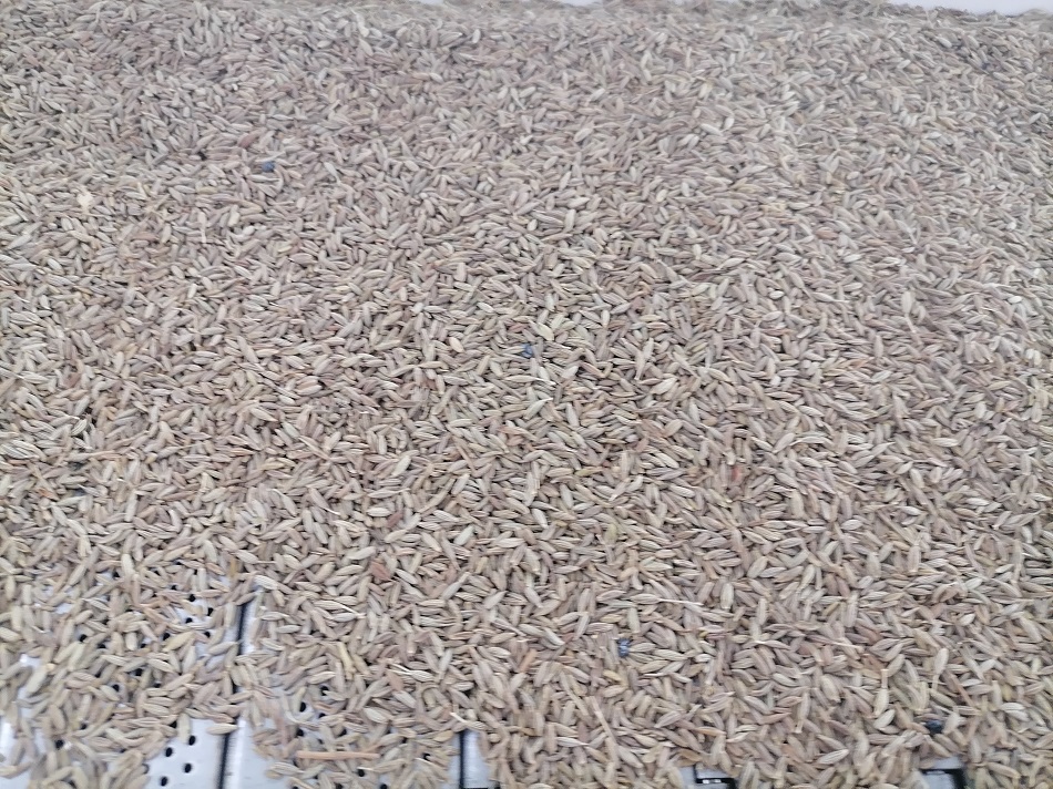 许昌智工电磁炒货机