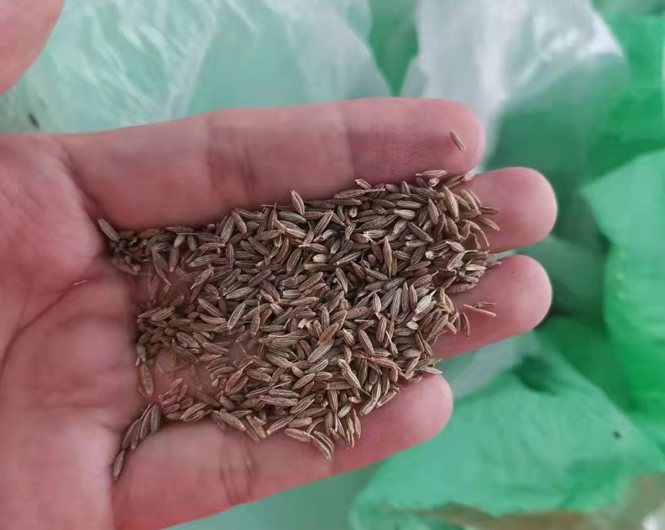 电磁流水线炒货机