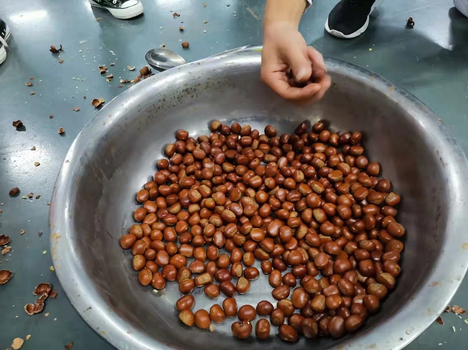 许昌智工炒货机