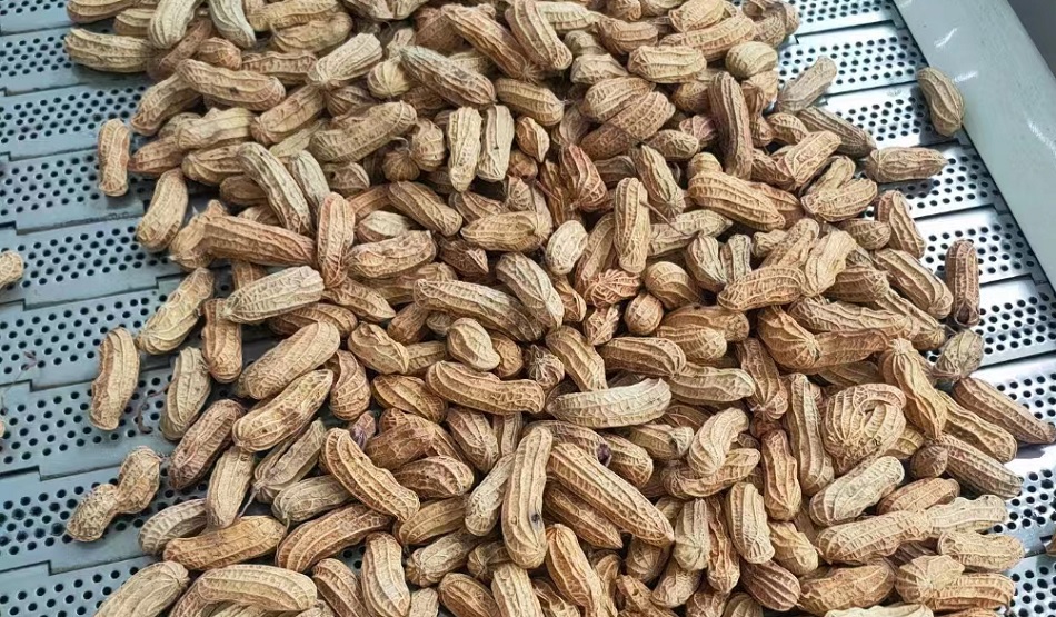 流水线炒花生果机