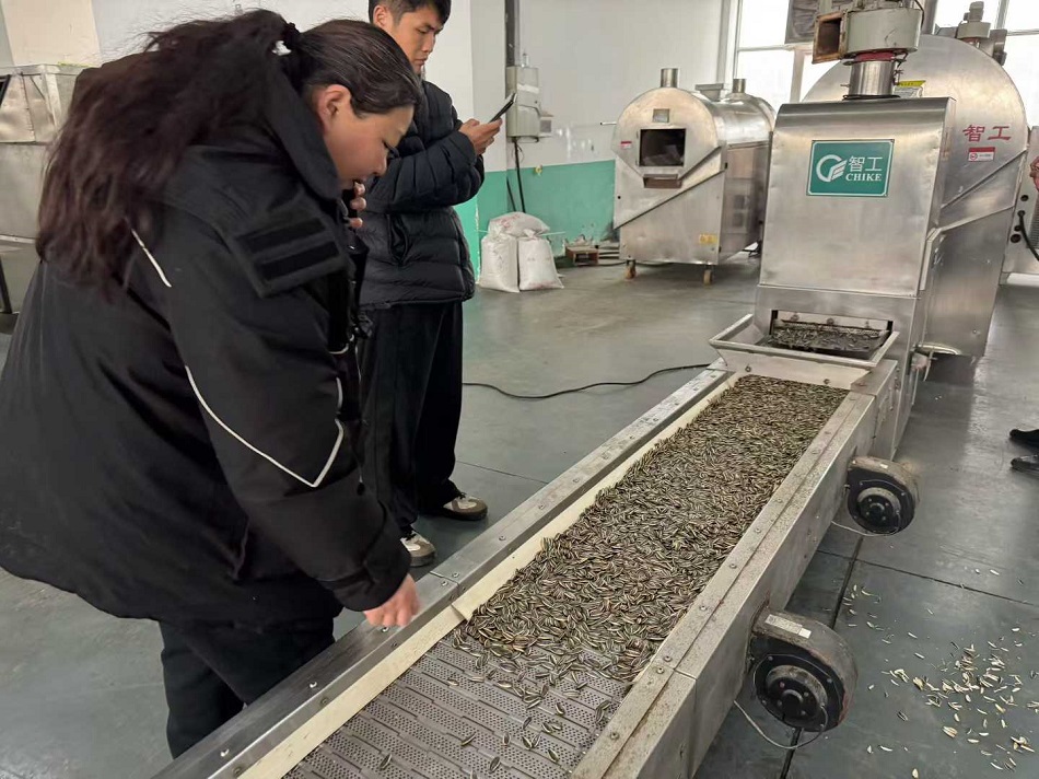 流水线电磁炒货机